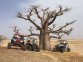 Baobab buggy Sénégal